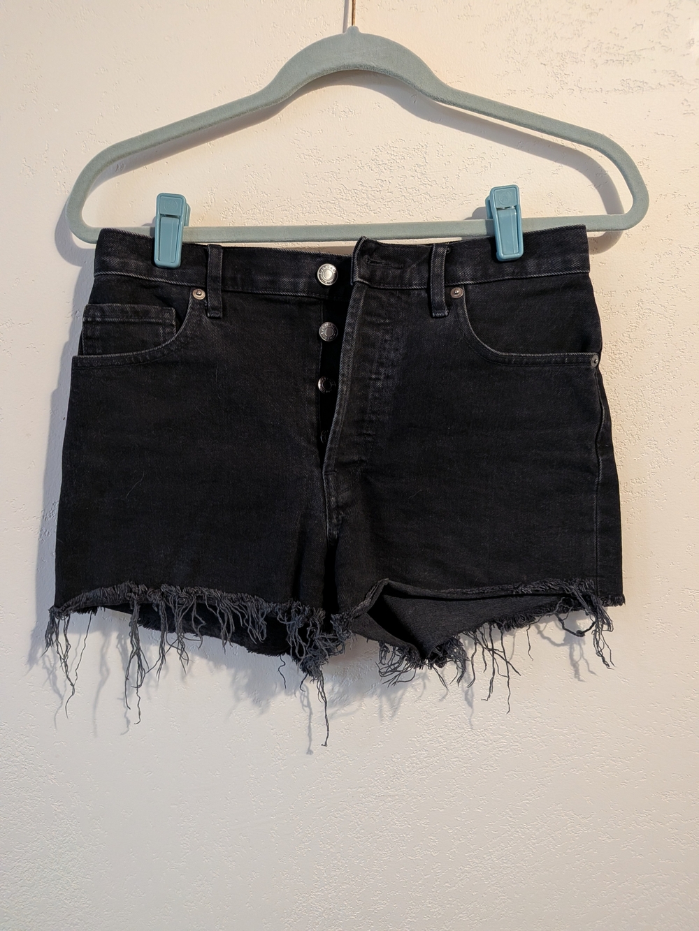 Everlane Black Cheeky Denim Shorts
